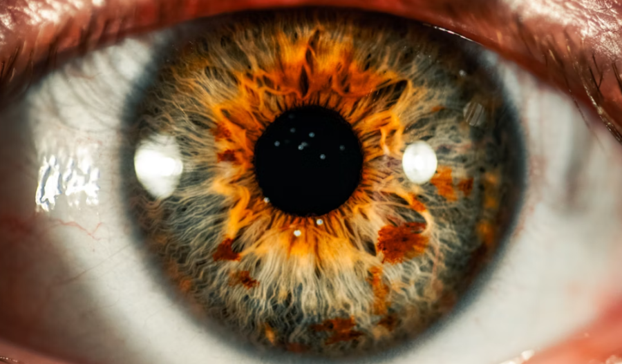 a large eye